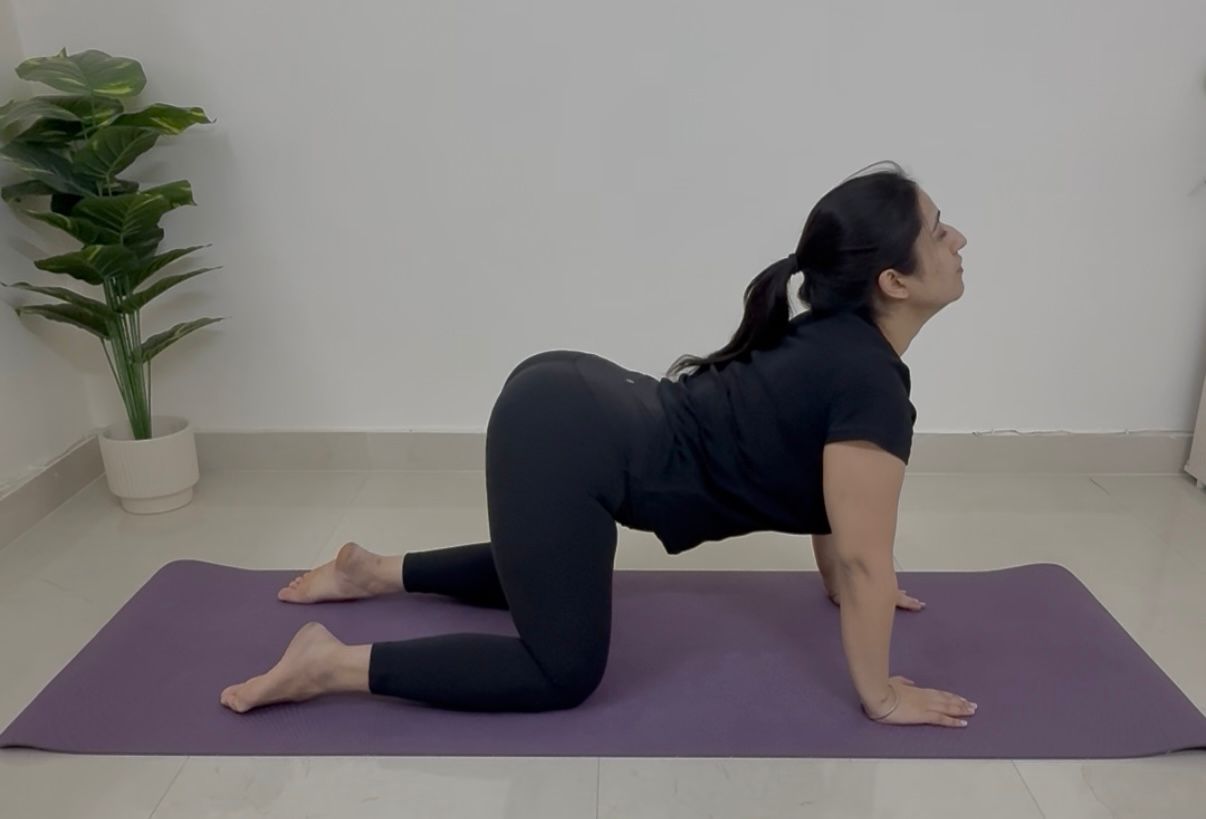 Namrata in cat-cow pose